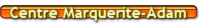 Web Site Web Site